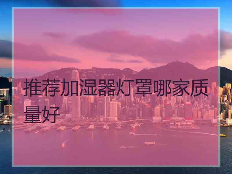 推荐加湿器灯罩哪家质量好