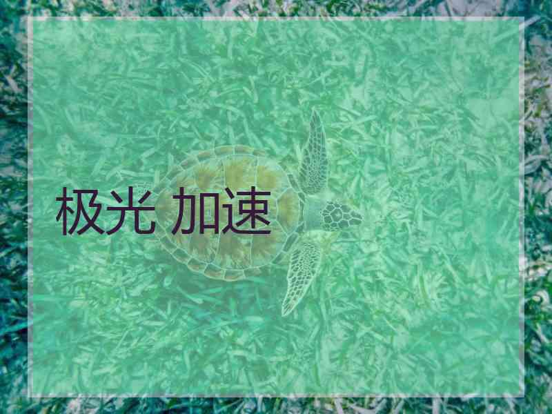 极光 加速