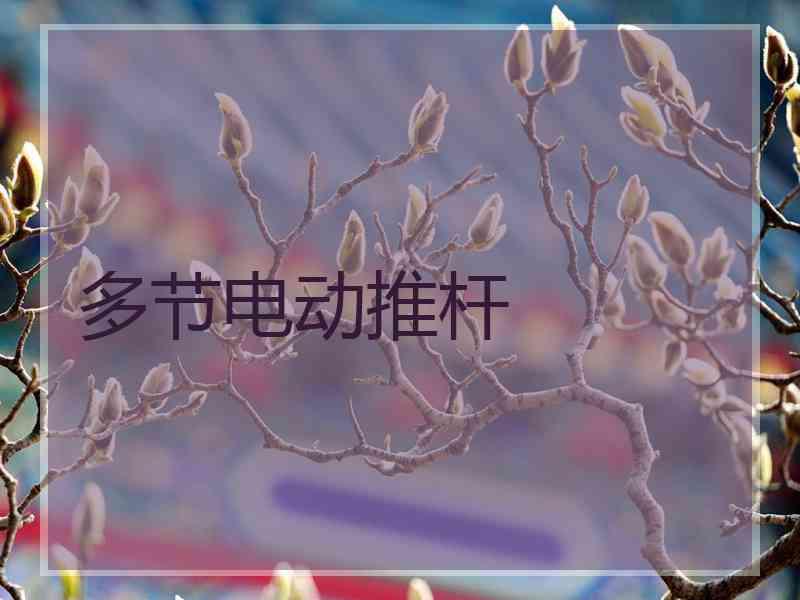 多节电动推杆