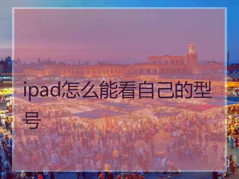 ipad怎么能看自己的型号