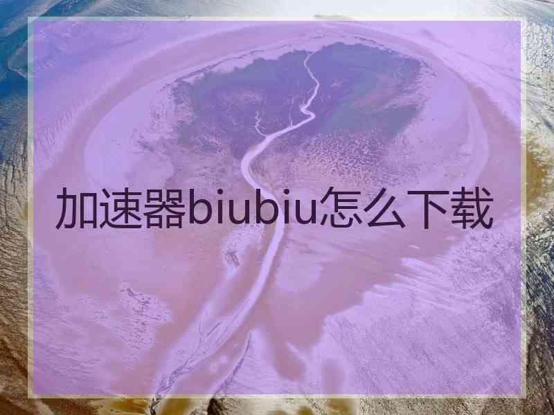加速器biubiu怎么下载