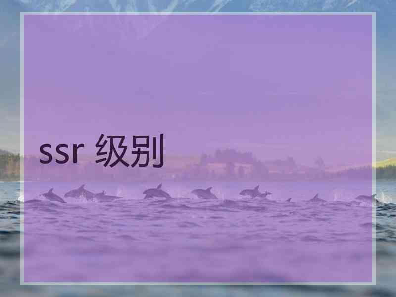 ssr 级别