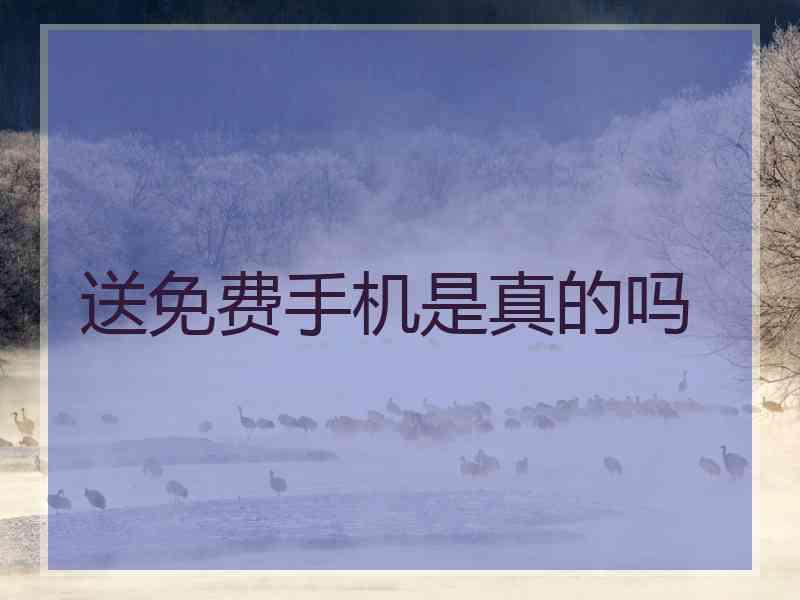 送免费手机是真的吗