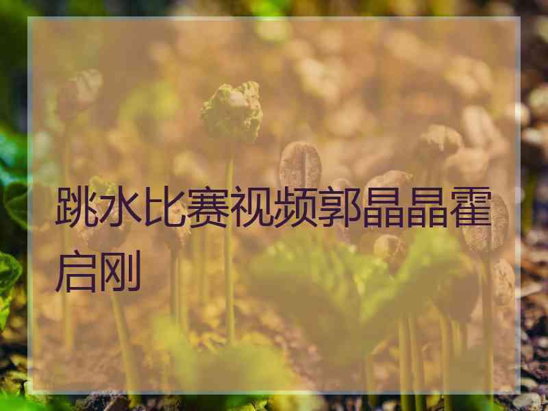 跳水比赛视频郭晶晶霍启刚