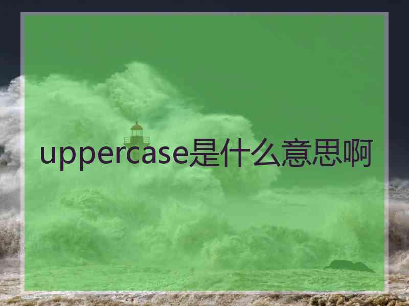 uppercase是什么意思啊