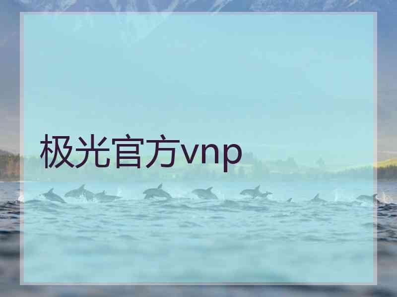 极光官方vnp