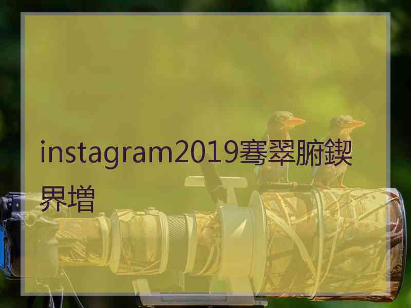 instagram2019骞翠腑鍥界増