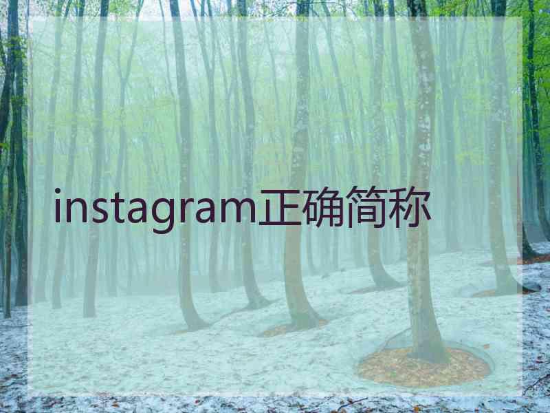 instagram正确简称