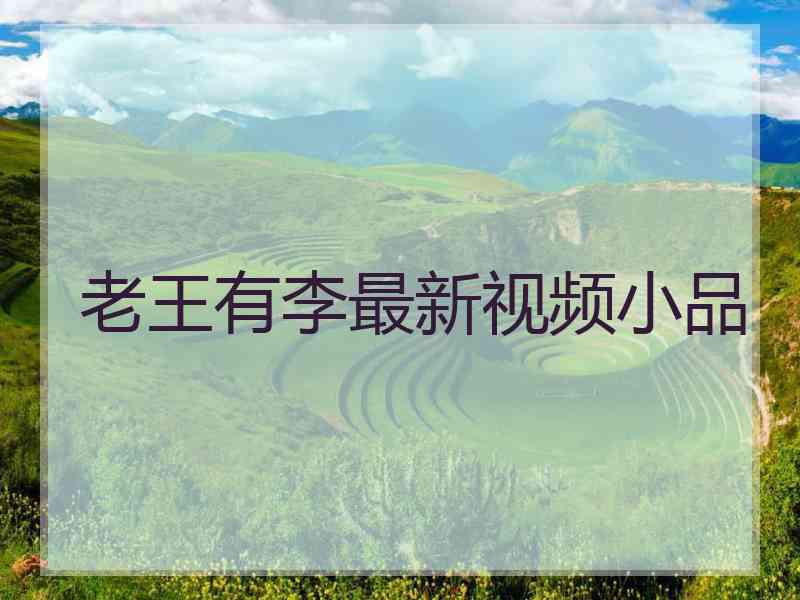 老王有李最新视频小品