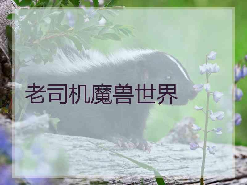 老司机魔兽世界