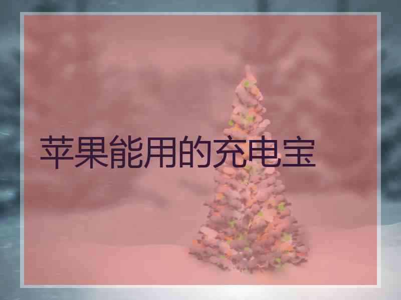 苹果能用的充电宝