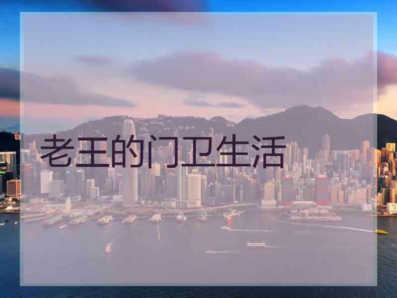老王的门卫生活