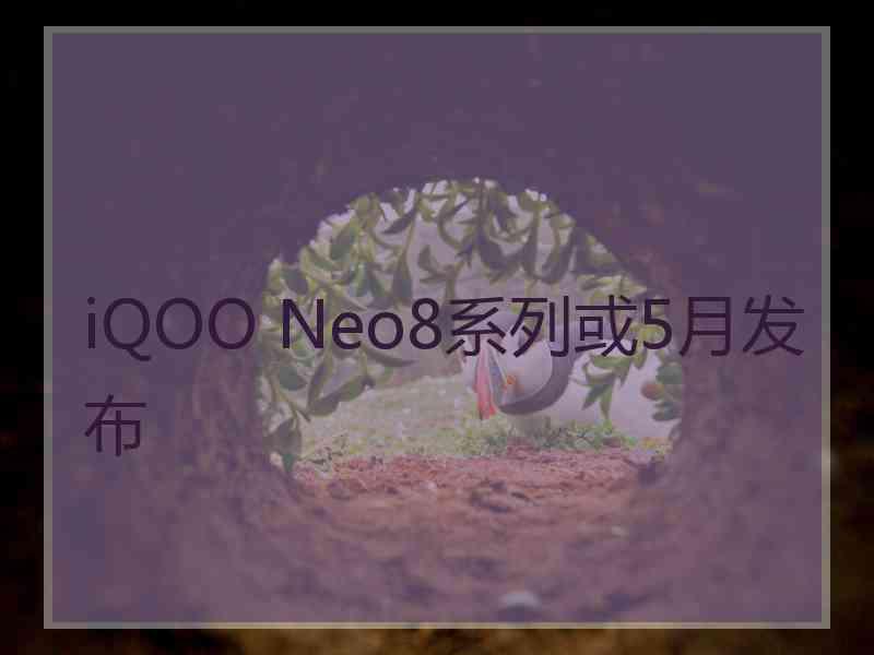 iQOO Neo8系列或5月发布