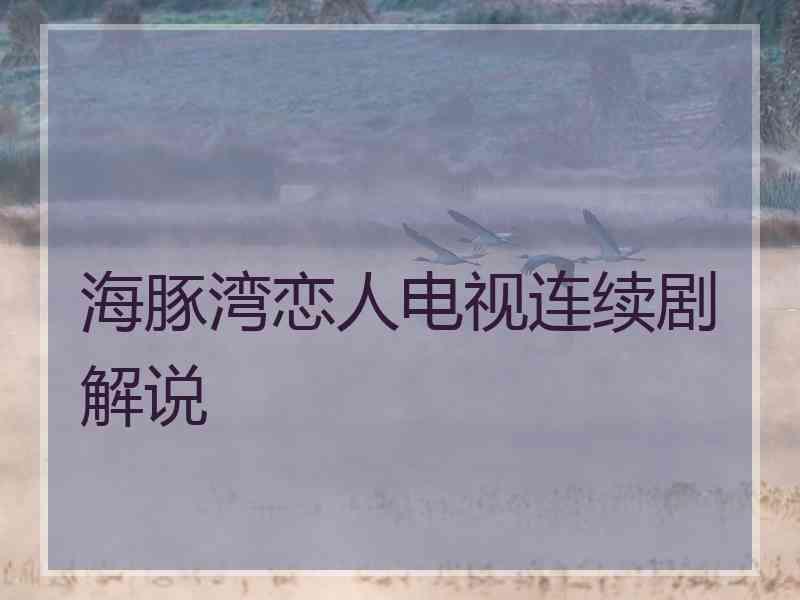 海豚湾恋人电视连续剧解说