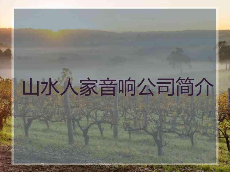 山水人家音响公司简介