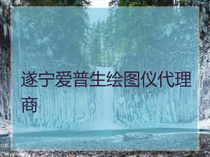 遂宁爱普生绘图仪代理商