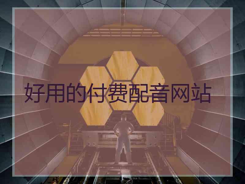 好用的付费配音网站
