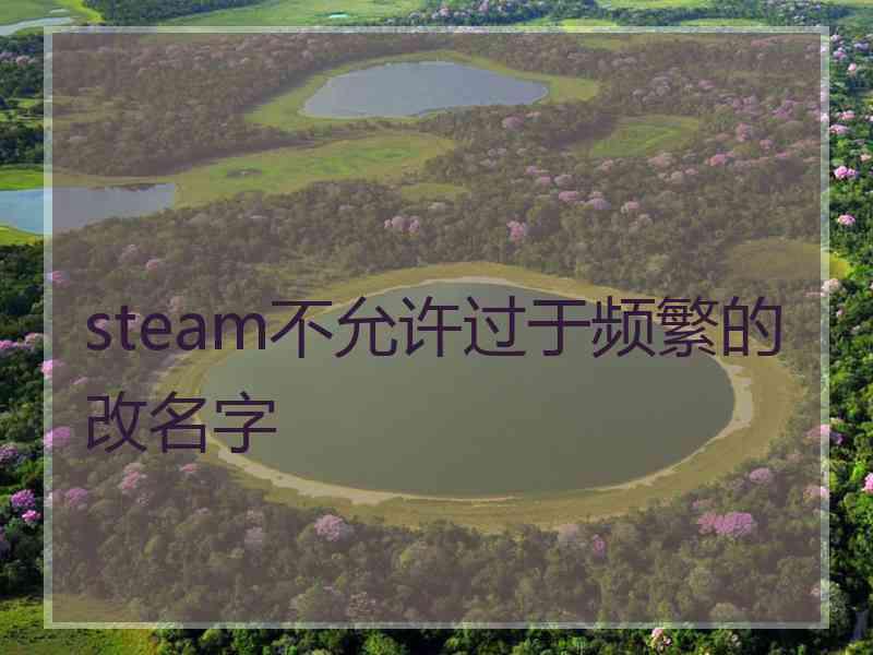 steam不允许过于频繁的改名字