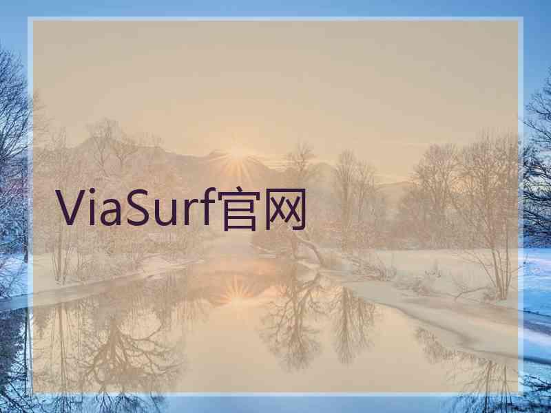 ViaSurf官网