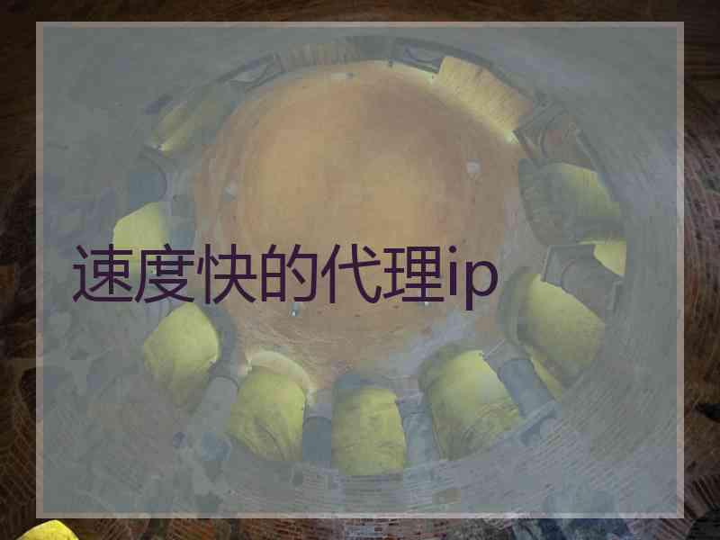 速度快的代理ip