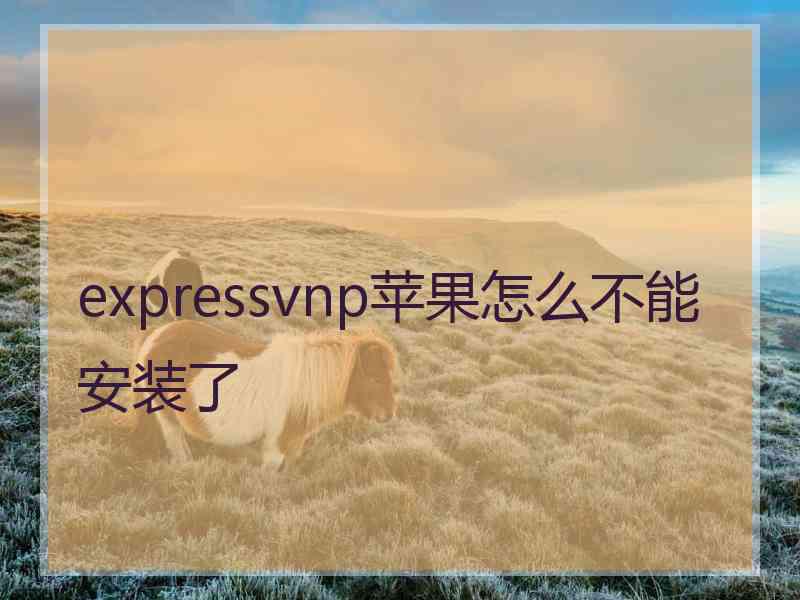 expressvnp苹果怎么不能安装了