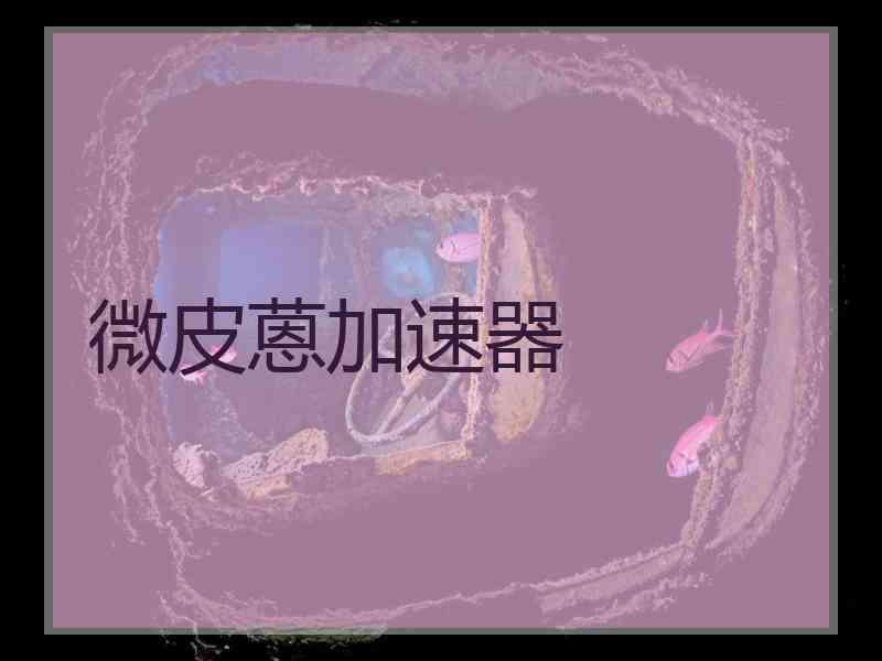微皮蒽加速器