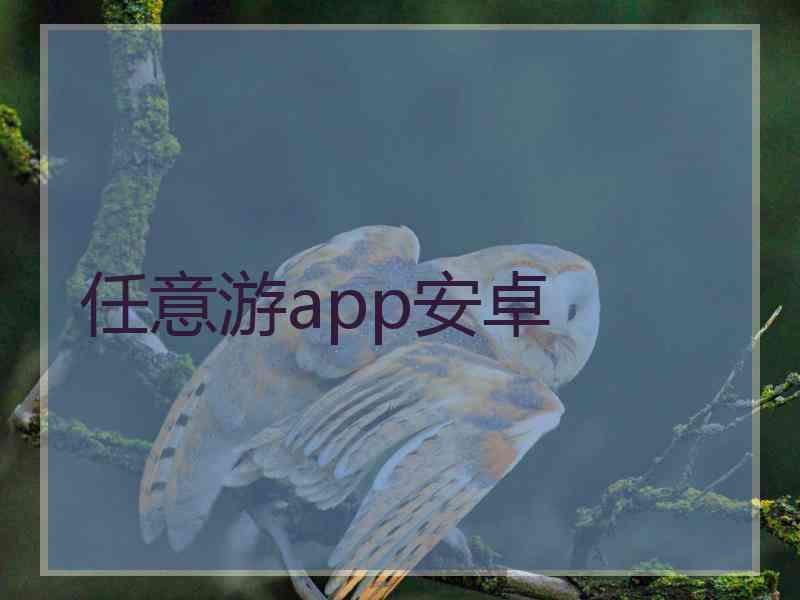 任意游app安卓