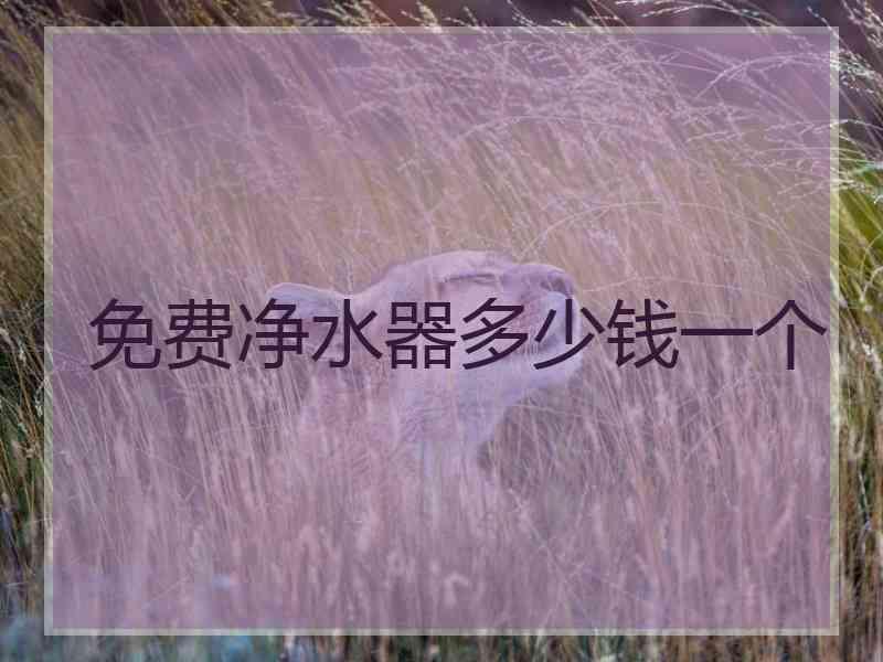 免费净水器多少钱一个