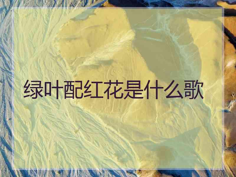 绿叶配红花是什么歌