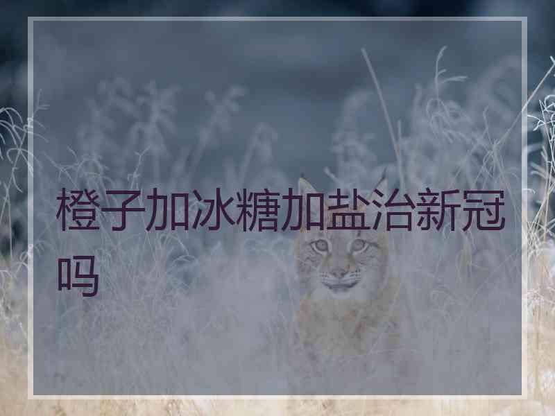 橙子加冰糖加盐治新冠吗
