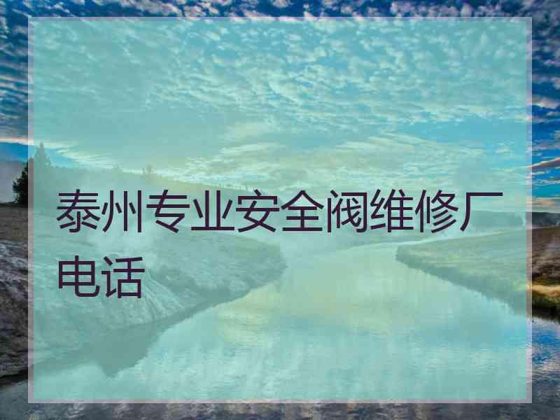 泰州专业安全阀维修厂电话