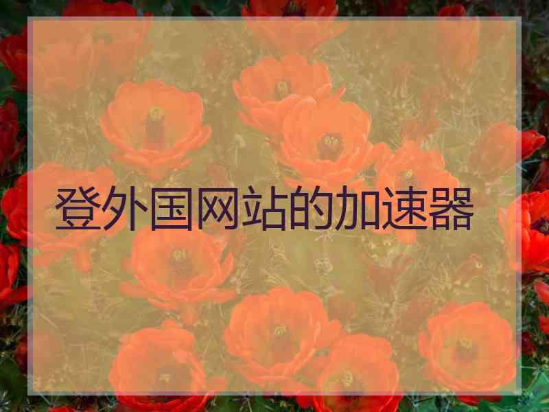 登外国网站的加速器