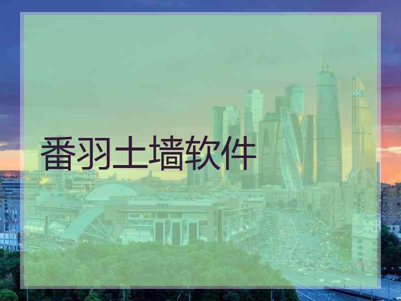 番羽土墙软件