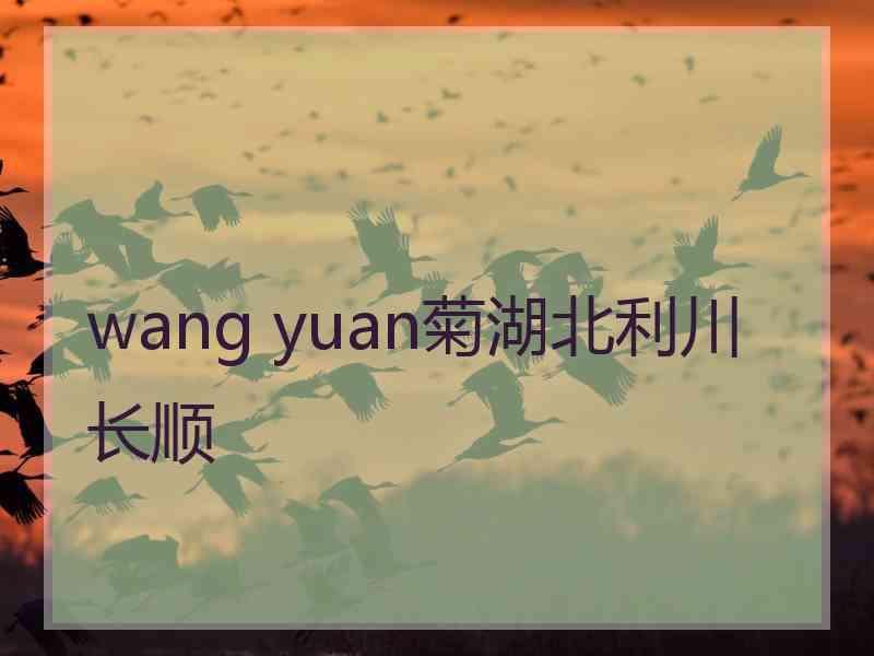 wang yuan菊湖北利川长顺
