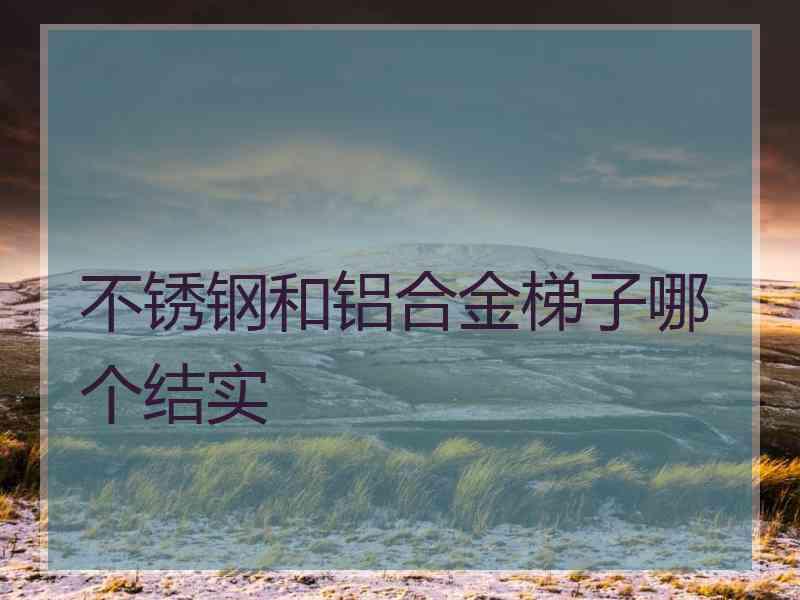 不锈钢和铝合金梯子哪个结实