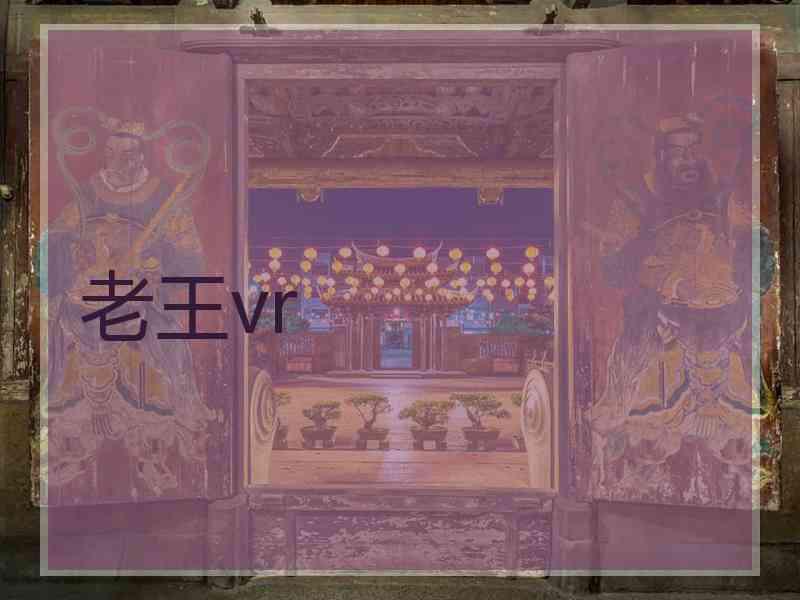 老王vr