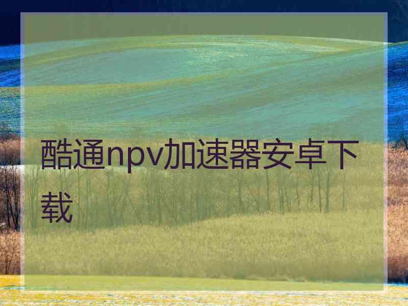 酷通npv加速器安卓下载