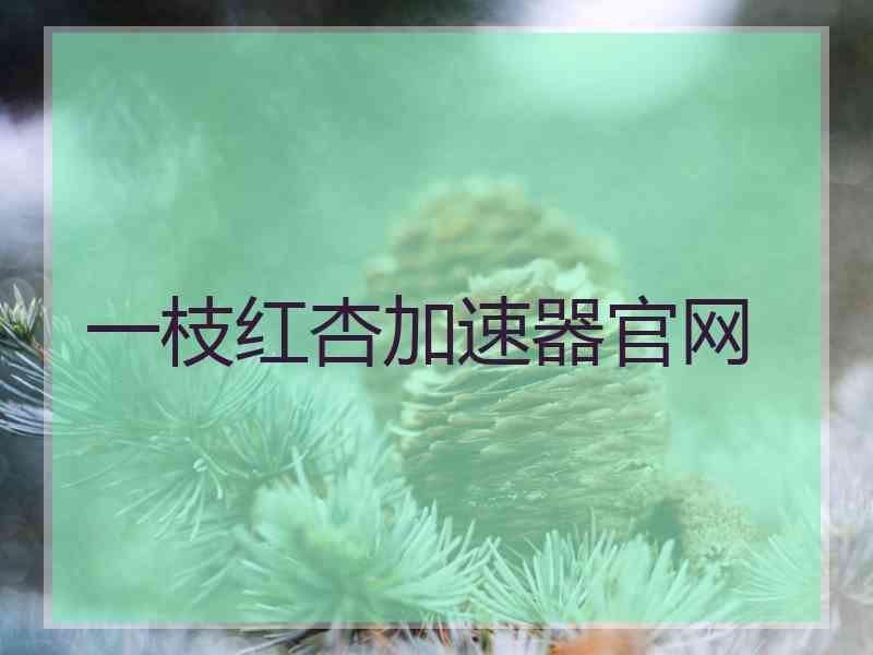 一枝红杏加速器官网