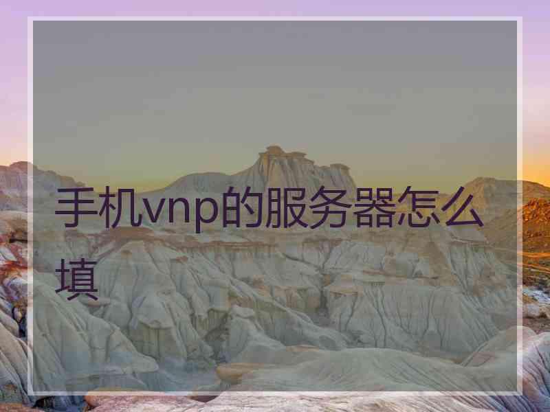 手机vnp的服务器怎么填