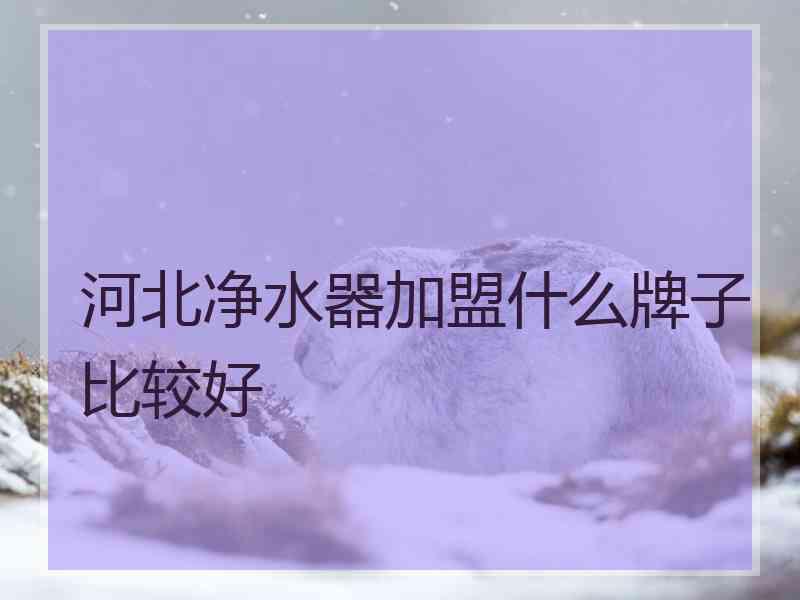 河北净水器加盟什么牌子比较好