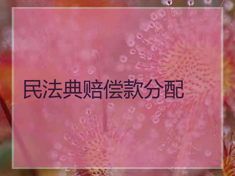 民法典赔偿款分配