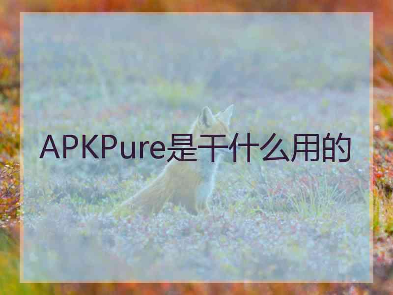 APKPure是干什么用的