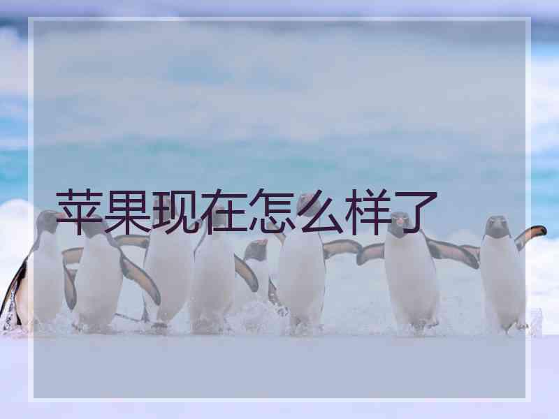 苹果现在怎么样了