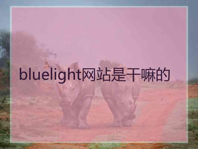 bluelight网站是干嘛的