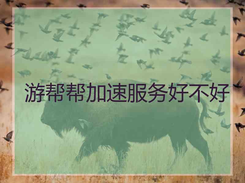 游帮帮加速服务好不好