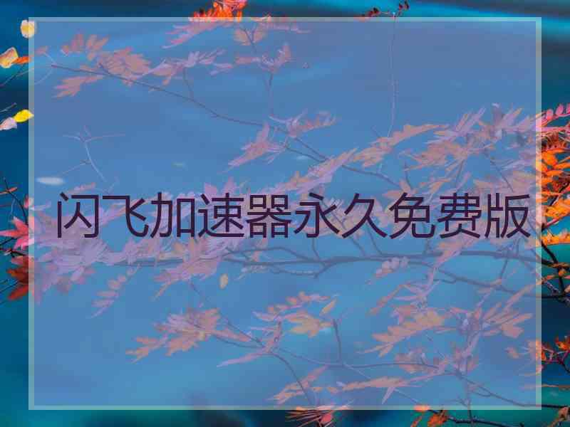闪飞加速器永久免费版