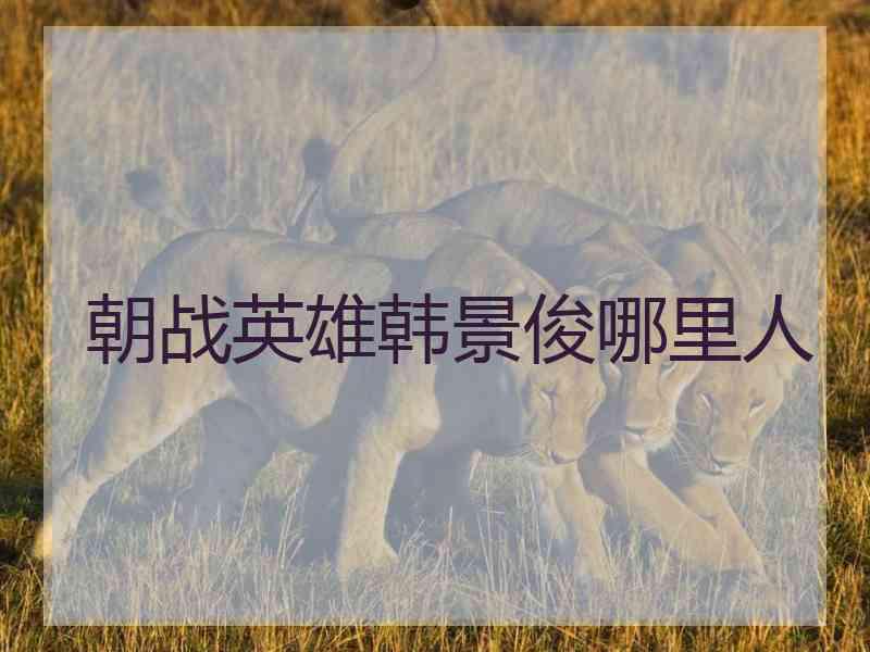 朝战英雄韩景俊哪里人