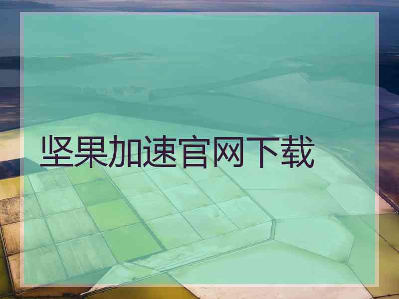 坚果加速官网下载