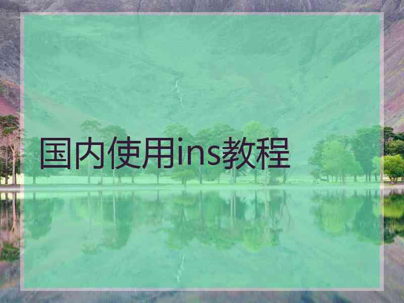 国内使用ins教程