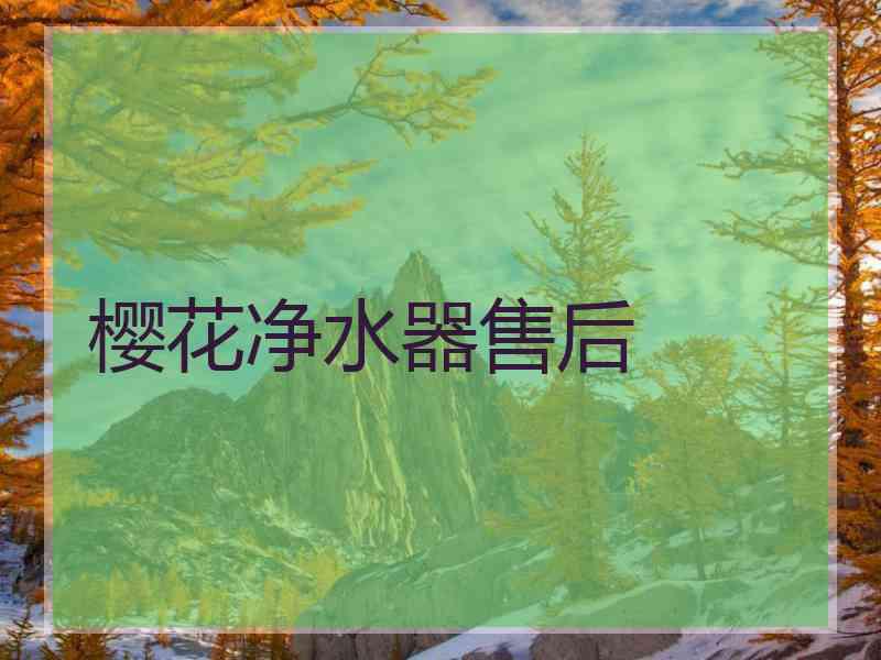 樱花净水器售后